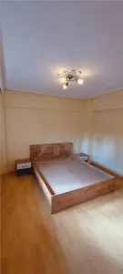 Hala Centrala - Aleea cu castani , apartament 2 camere , 61 mp - foto 4
