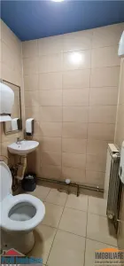 Spatiu in intersectie pe colt, Calea Aurel Vlaicu -Fortuna - foto 15