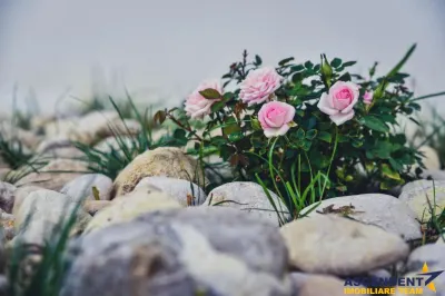 Aleasa Pensiune, pe 1.400 mp teren, in curcubeu montan, Bran, Brasov - foto 10