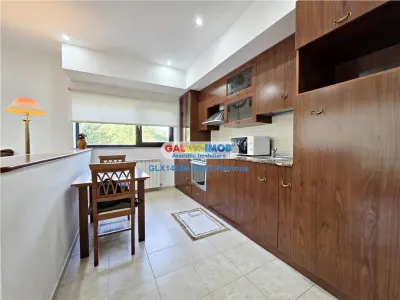Apartament 2 camere Baneasa, Petrom City, Nuferilor - foto 6