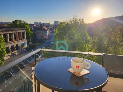 Ultracentral, Priveliste superba spre parcuri ,2 terase - foto 12