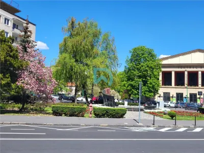 Ultracentral, Priveliste superba spre parcuri ,2 terase - foto 14