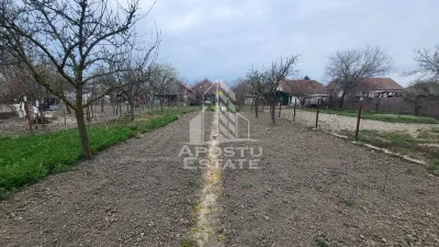 Casa individuala cu teren generos de 898 mp,Sag zona Centrala - foto 15