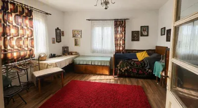 CASA CU TEREN GENEROS IN HERINA, BN – OPORTUNITATE DE INVESTITIE TURISTICA SAU REZIDENTIALA - foto 13