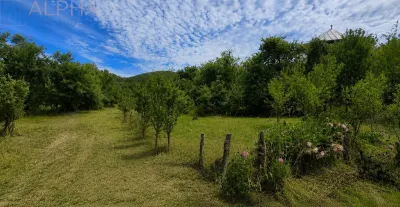 CASA CU TEREN GENEROS IN HERINA, BN – OPORTUNITATE DE INVESTITIE TURISTICA SAU REZIDENTIALA - foto 19