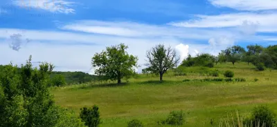CASA CU TEREN GENEROS IN HERINA, BN – OPORTUNITATE DE INVESTITIE TURISTICA SAU REZIDENTIALA - foto 21