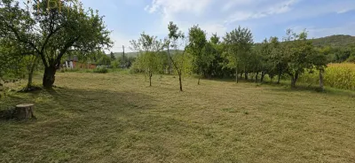 CASA CU TEREN GENEROS IN HERINA, BN – OPORTUNITATE DE INVESTITIE TURISTICA SAU REZIDENTIALA - foto 9