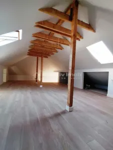 Casa- Vila -  soseaua Bucuresti - Magurele -Carrefour(fosta Cora)-  240 mp teren - 230000E-  tva inclus - COMISION 0! - foto 19