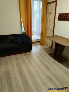 Garsoniera in vila, baie si bucatarie proprie, acces aproape independent, finisaje noi, investitie sau locuinta personala. - foto 17