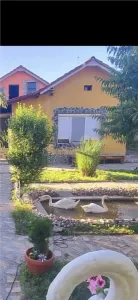 Casa pe sol, teren : 1460 mp - zona Spitalului Municipal - Bariera - foto 12
