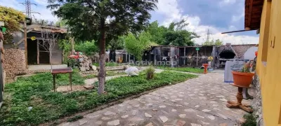 Casa pe sol, teren : 1460 mp - zona Spitalului Municipal - Bariera - foto 14