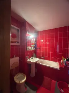 APARTAMENT 2 CAMERE Eremia Grigorescu - foto 6