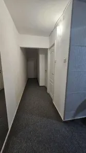 Apartament cu 2 camere la parter, in Astra, Brasov - foto 4