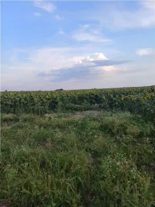 Otopeni-Str.Dr.Garii Balotesti-70.000mp-front 220ml-Ideal Investitie - foto 8