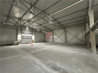 Inchiriere hala/depozit/spatiu industrial Magurele - Atomistilor, ILFOV - foto 4