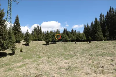 terenuri speciale Padina Busteni sunt dispuse ca o veritabila coroana in jurul lacului Bolboci - foto 6