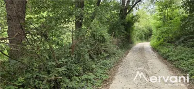 Teren de vanzare 15000 mp in Telega - foto 12
