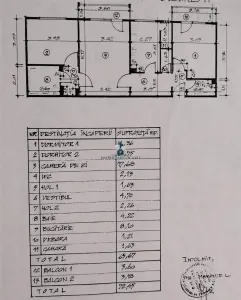 Apartament 3 camere Semidecomandat Al.Calinesti - foto 10