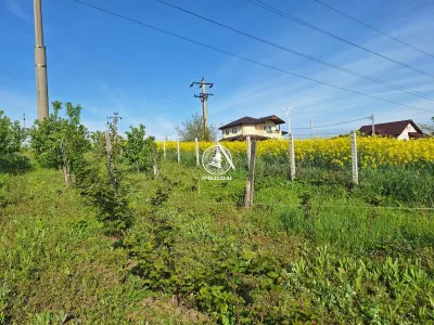 Loturi de teren Valea Lupupui - Iasi