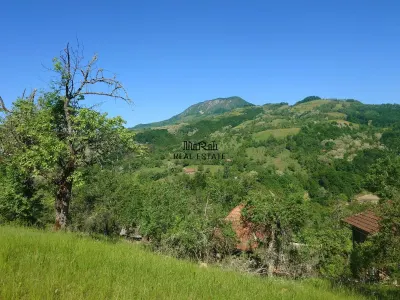 Teren+cladiri Blajeni(56000Euro cladiri+1,3ha) - foto 12