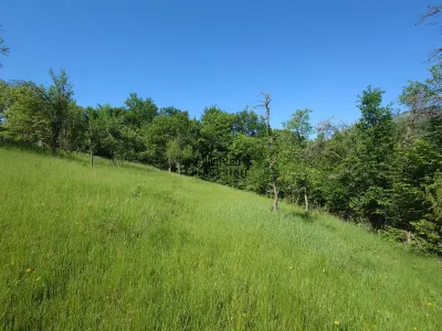 Teren+cladiri Blajeni(56000Euro cladiri+1,3ha) - foto 16