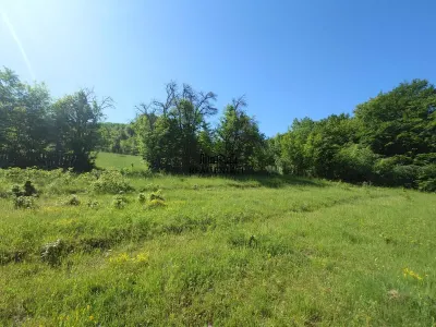 Teren+cladiri Blajeni(56000Euro cladiri+1,3ha) - foto 17