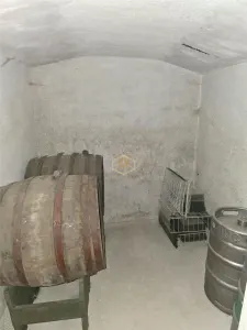 Casa de vacanta cu teren 560 m² | 9 Mai 1877, Satu Mare - foto 12