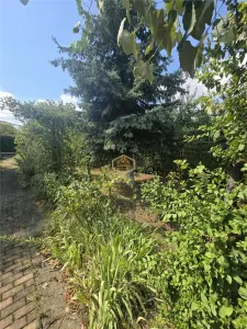 Casa de vacanta cu teren 560 m² | 9 Mai 1877, Satu Mare - foto 17