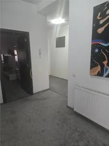 Direct proprietar Vila de vanzare Str Arcului 302 mp teren intravilan - foto 21
