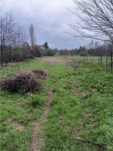 Ocazie!Teren Buturugeni,intre case,intrare din asfalt,,utilitati apropiere - foto 3