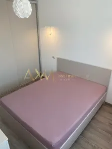 Inchiriere apartament 2 camere Giroc Calea Timisoarei - foto 7