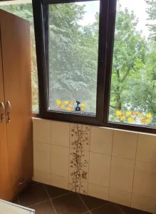 Inchiriere Garsoniera Semidecomandata Aparatorii Patriei-Turnu Magurele - foto 8