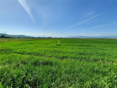 Teren Sibiu - Calea Surii Mari - 4500 mp - foto 3