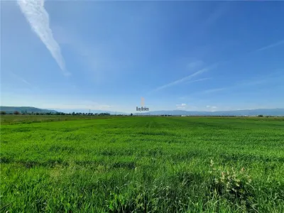 Teren Sibiu - Calea Surii Mari - 4500 mp - foto 7