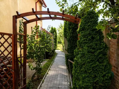 Vila Premium  in CENTRU CIVIC – PALAS - foto 7