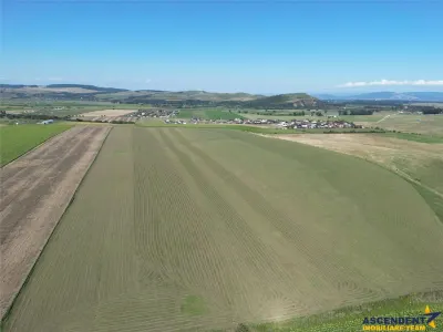 Parcela de teren 503 mp, Bod - Sanpetru - foto 4