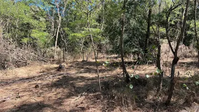 Vand teren in padure zona Hula Bradului - foto 8
