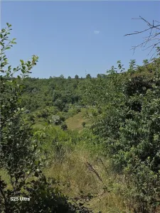Casa 100 mp, teren 1163, sat Cotatcu, com Podgoria - foto 6