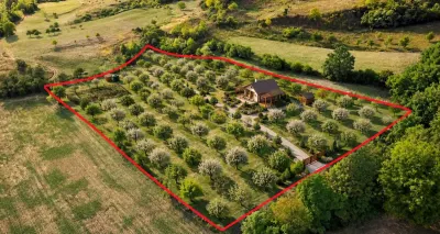 VIDEO | Super view | Teren 8.500 m² in Maramures | Viitorul tau colt de liniste - foto 6