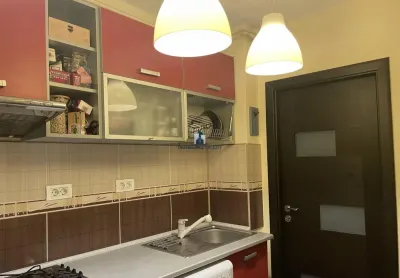 Vanzare Apartament 2 Camere Semidecomandat Berceni-Dragos Mladinovici - foto 11