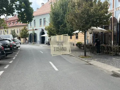 Apartament spatios cu 2 camere Ultracentral - Sibiu