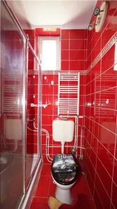 Proprietate centrala, cu 3 unitati independente si 520 mp de teren, potrivita pentru activitate medicala, cabinete sau sediu de firma - foto 12