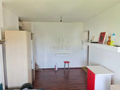 Garsoniera-Buziasului - foto 3