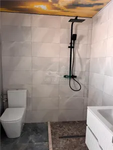 Casa cu 4 camere si 3 bai pretabila birouri in Sura  Mare - foto 13