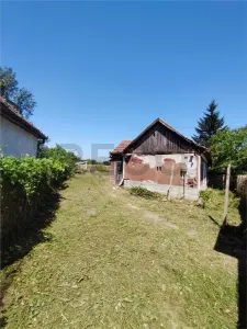 RECO Teren intravilan in Paleu 2500mp - foto 4