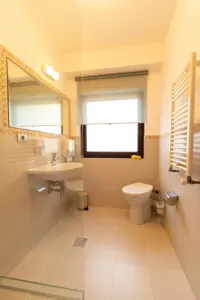 Piata Victoriei | 8 camere | Vila individuala - foto 21