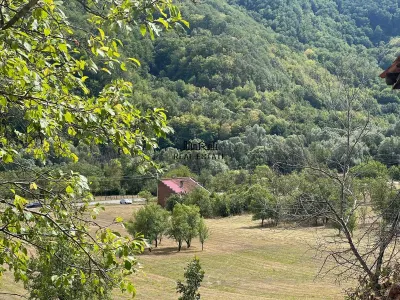 Teren+Casă Mihăileni - foto 15