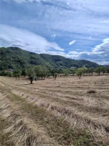 Teren+Casă Mihăileni - foto 17