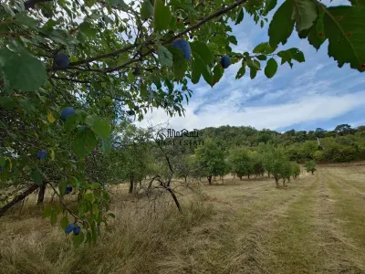 Teren+Casă Mihăileni - foto 6