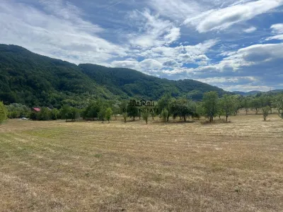 Teren+Casă Mihăileni - foto 10